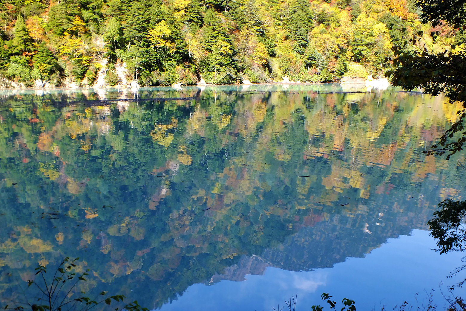 湖面に映る紅葉