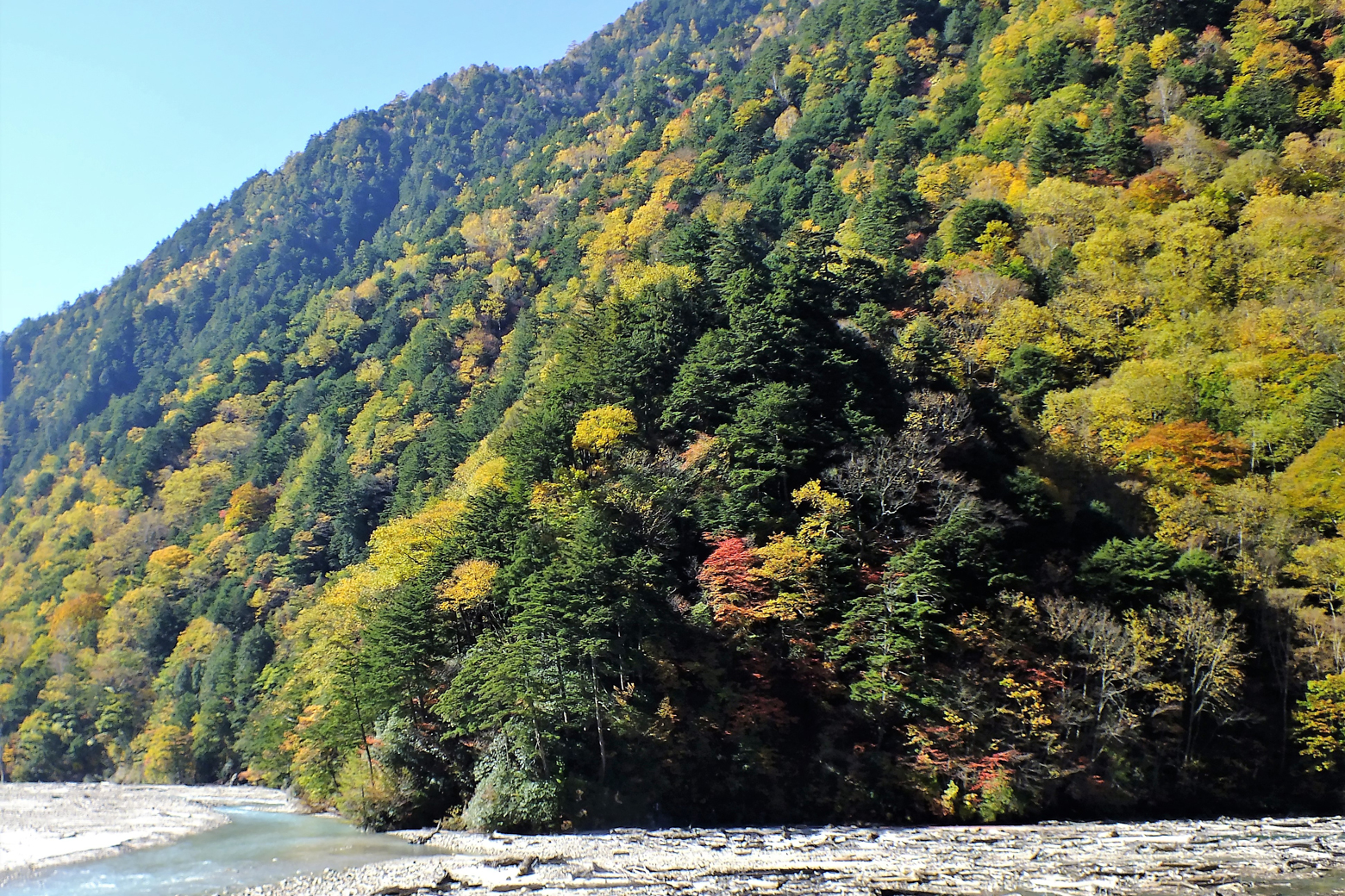 高瀬川上流部