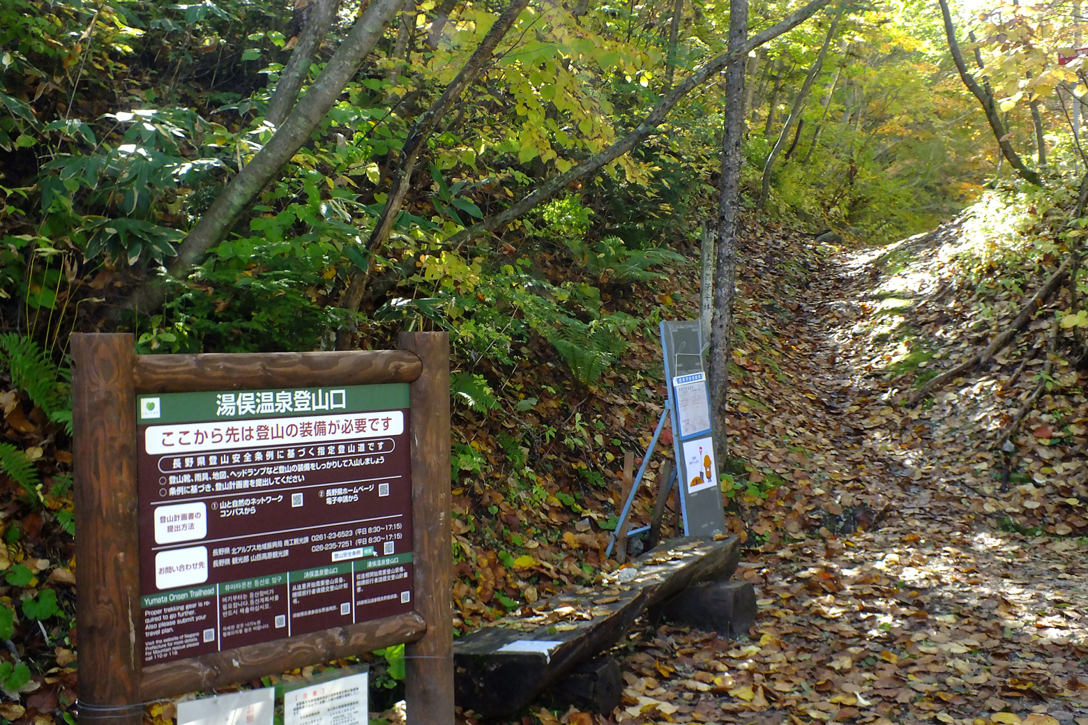 ここからは登山道