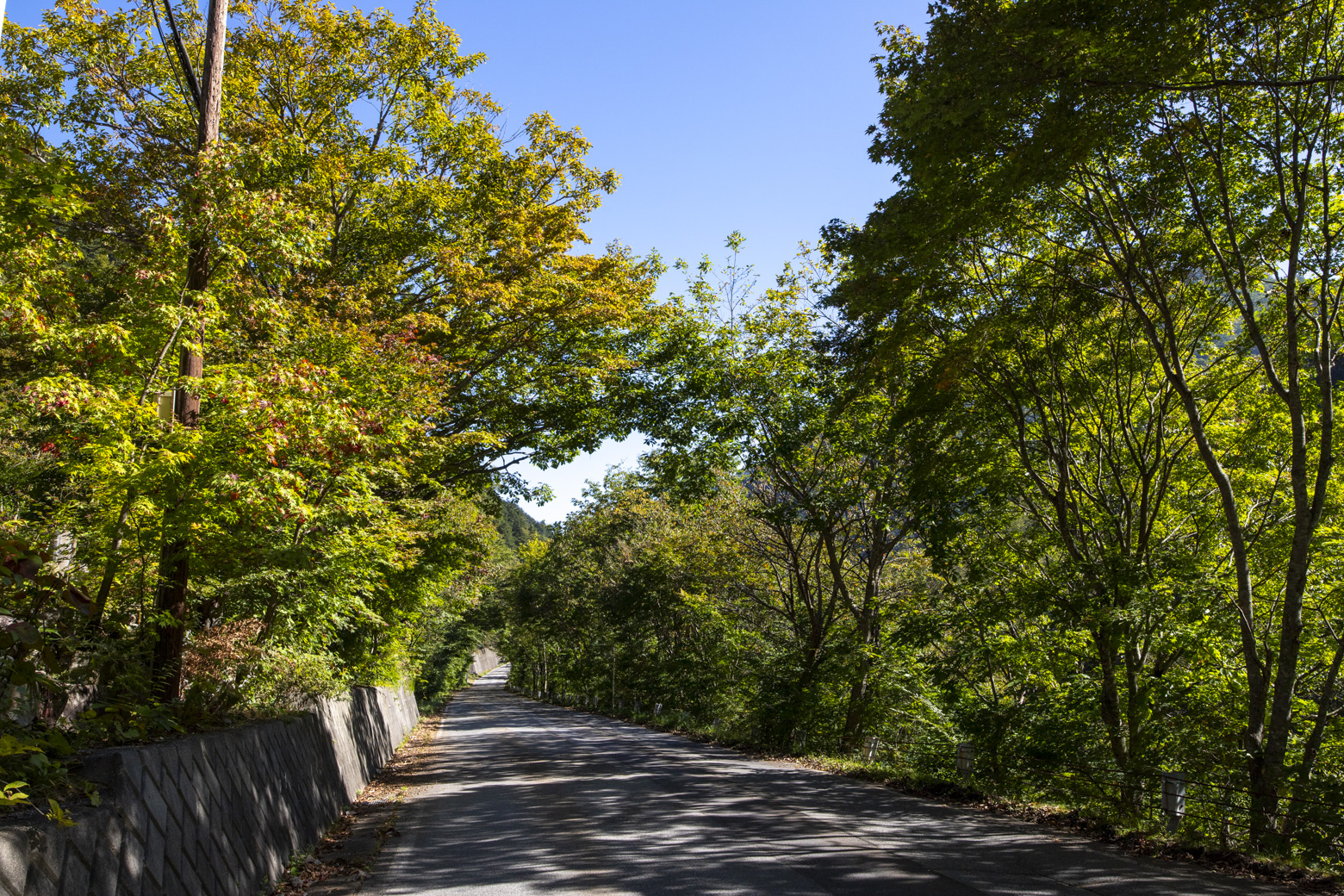 葛温泉高瀬館前の道路