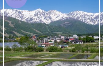 天神坂｜田んぼのリフレクションと三段紅葉、白馬が誇る2つの絶景