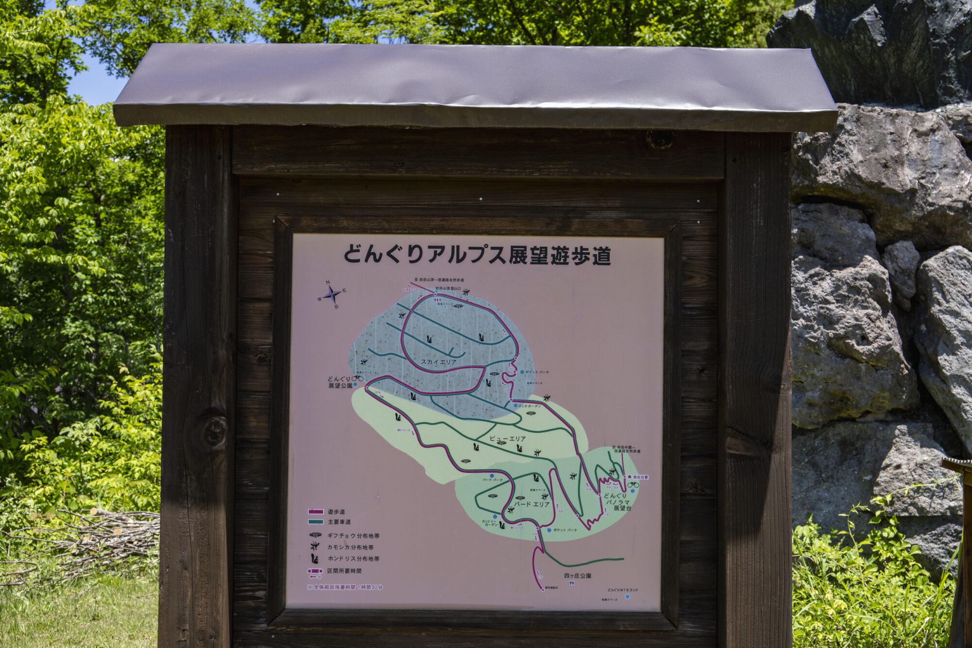 北アルプスの絶景をひとりじめ!白馬村【どんぐりパノラマ展望台】の楽しみ方