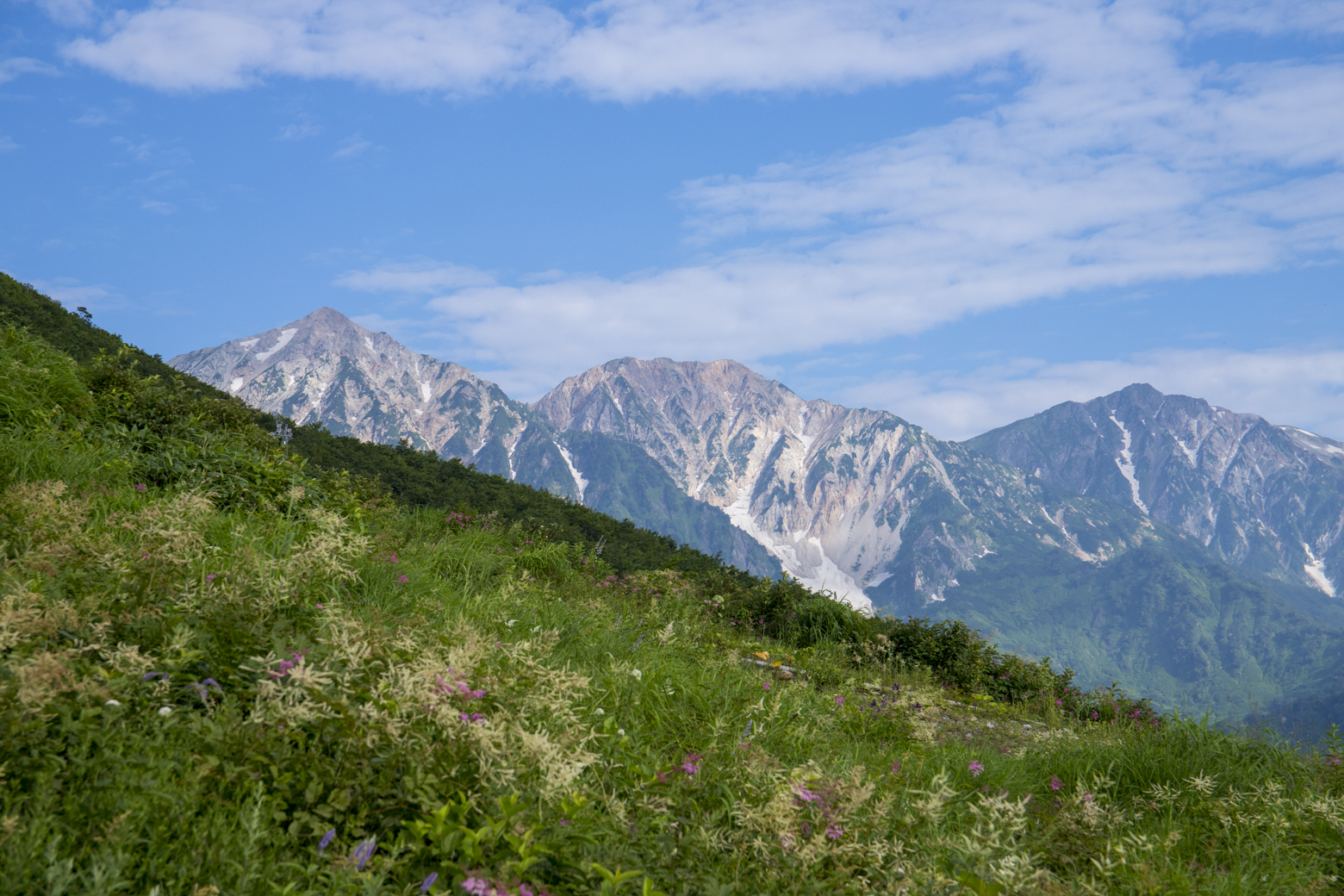 白馬三山。左から白馬鑓が岳・杓子岳・白馬岳