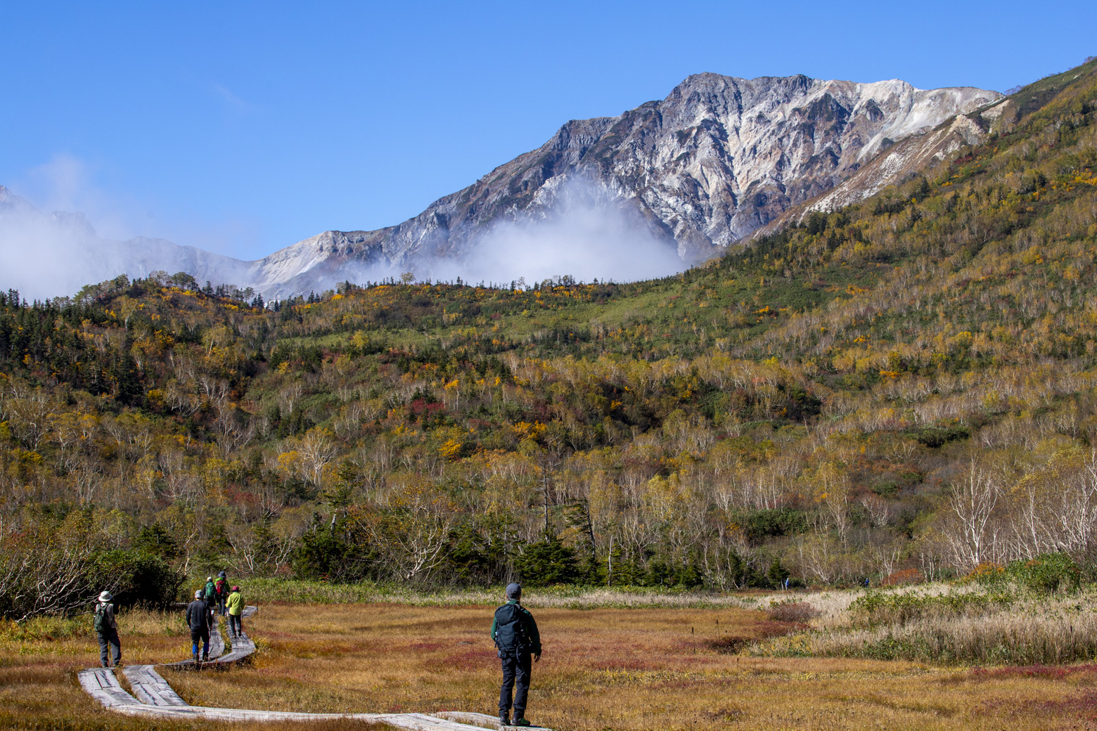 栂池自然園の紅葉