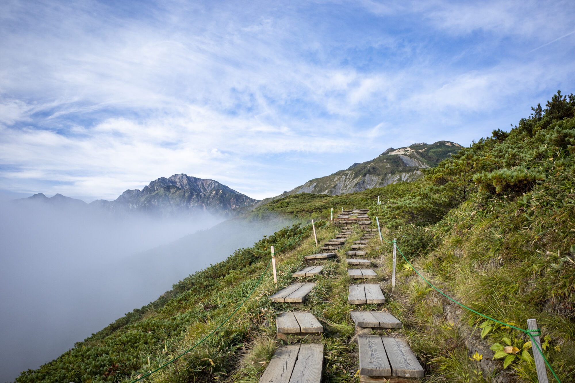 正面に唐松岳、その左に五竜岳、一番左は鹿島槍ヶ岳