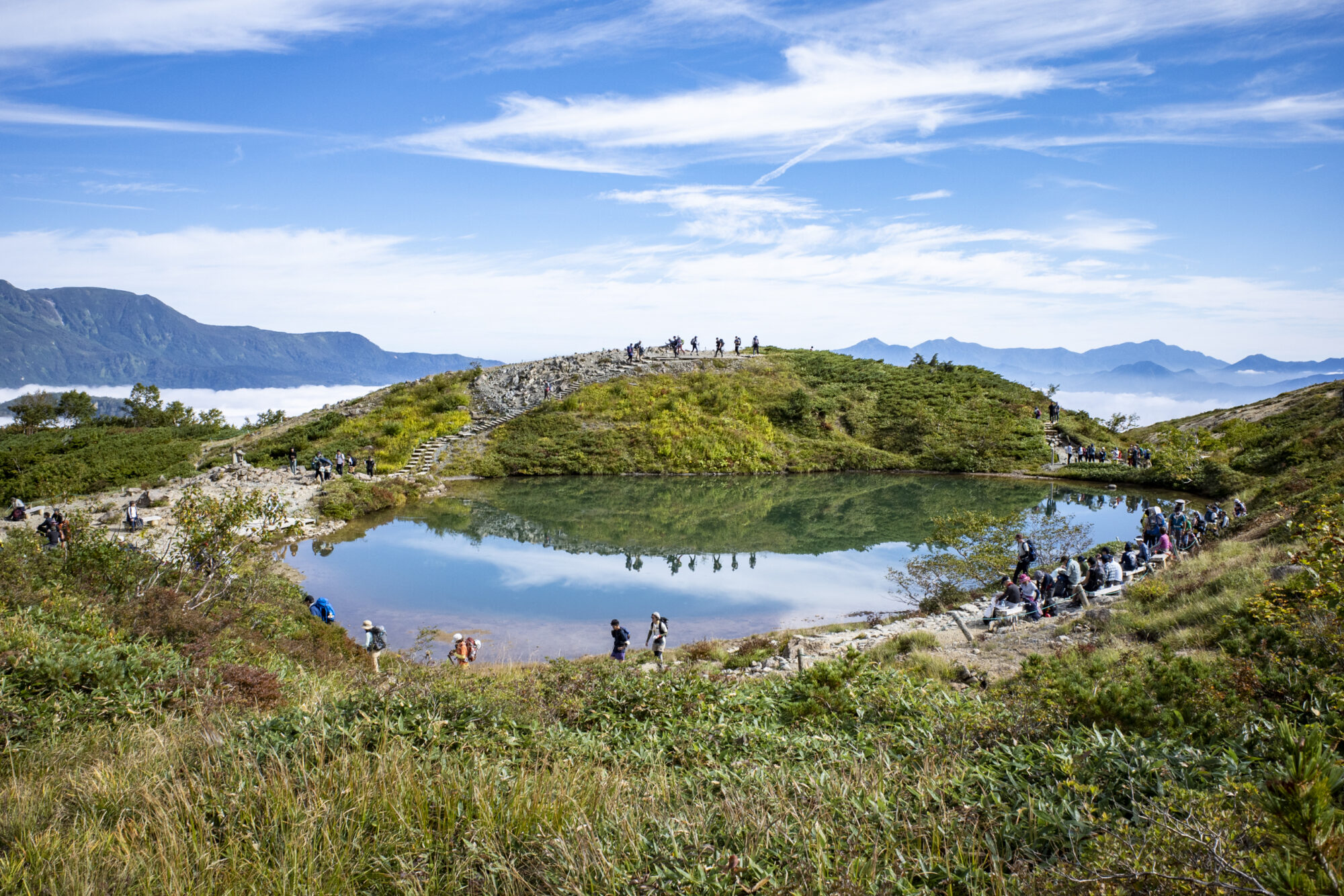 薄っすら紅葉し始めている