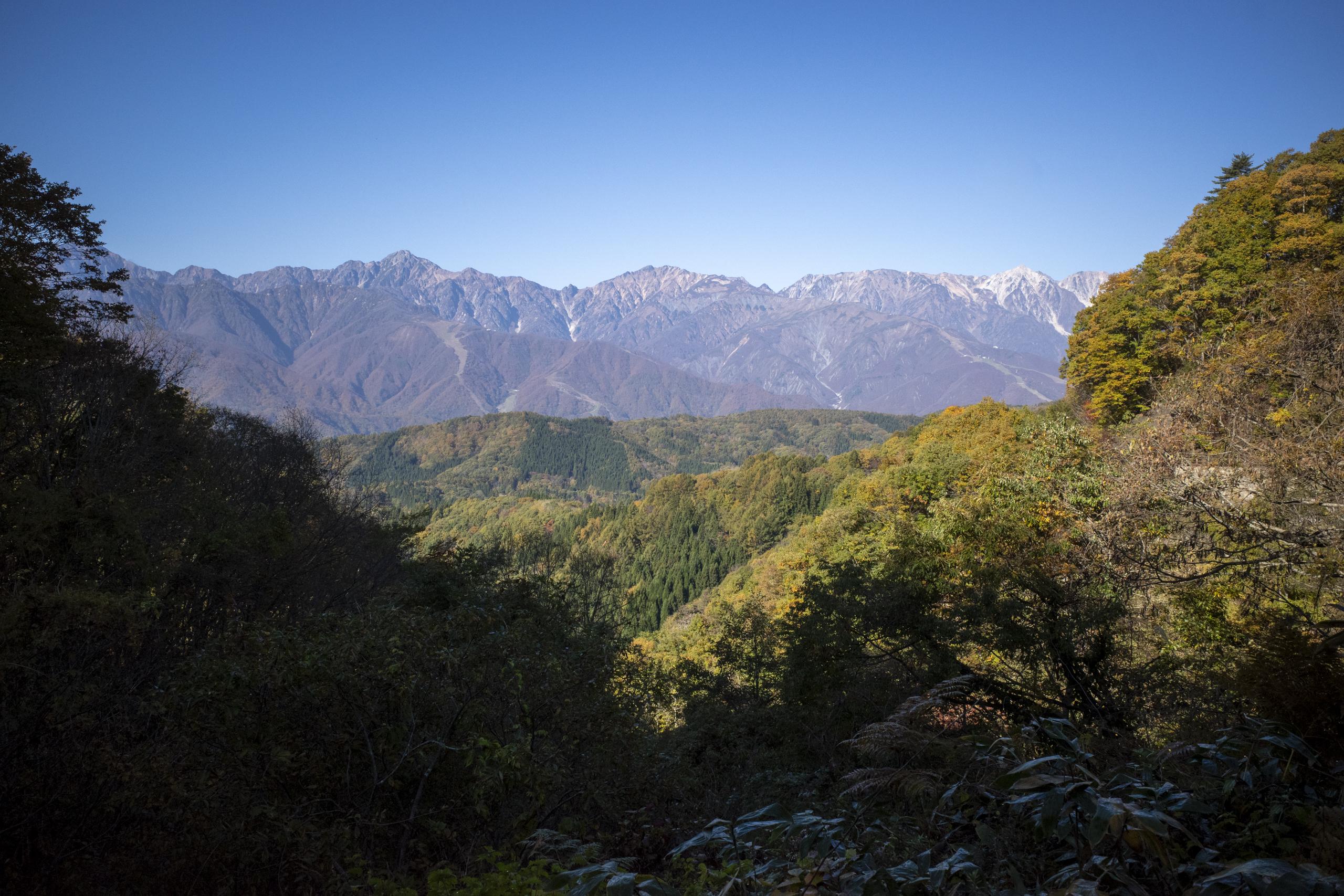 白沢峠（撮影日：11月4日）