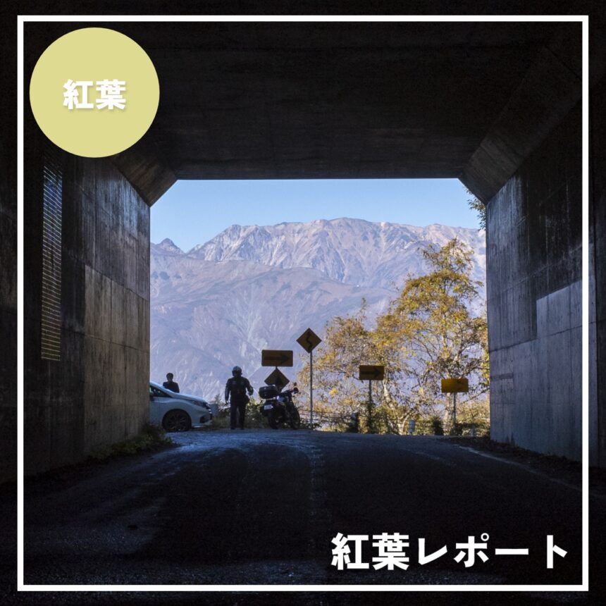 紅葉レポート_白馬村