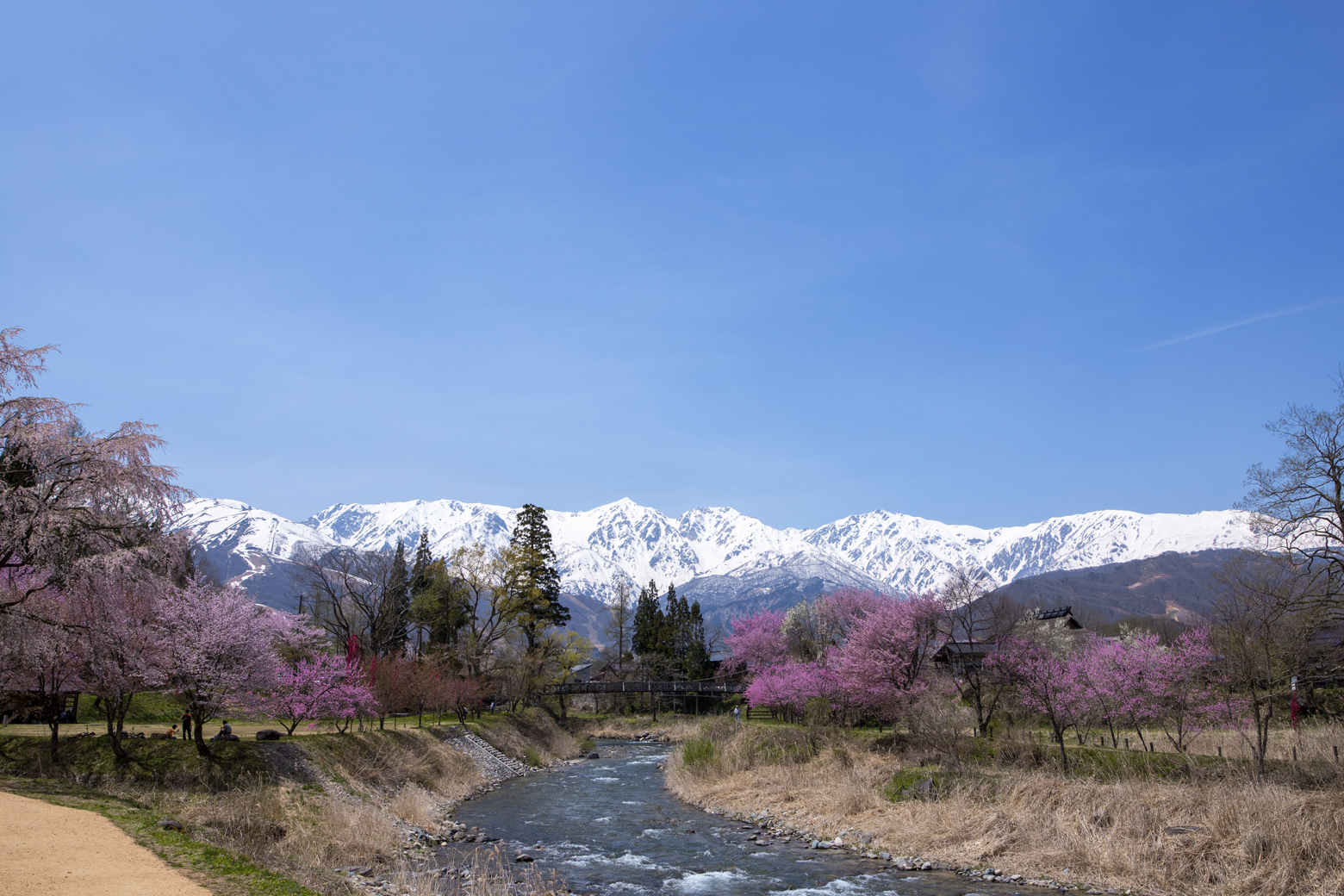 桜が見頃になる4月~5月がオススメ
