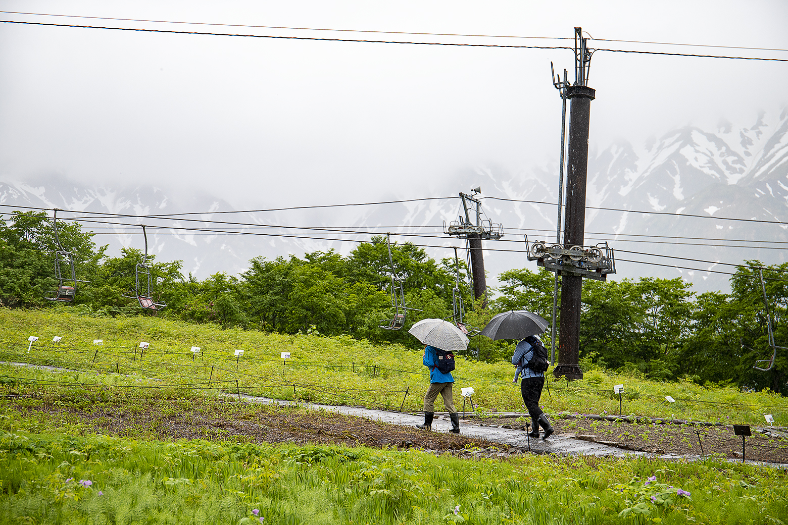 雨の日でも楽しめる