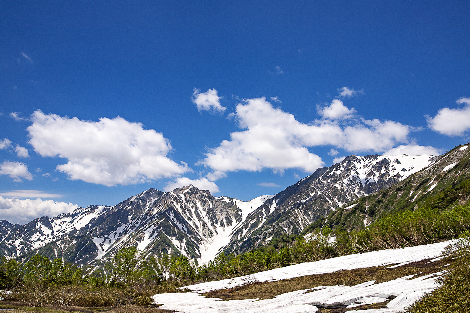 展望湿原からの白馬三山