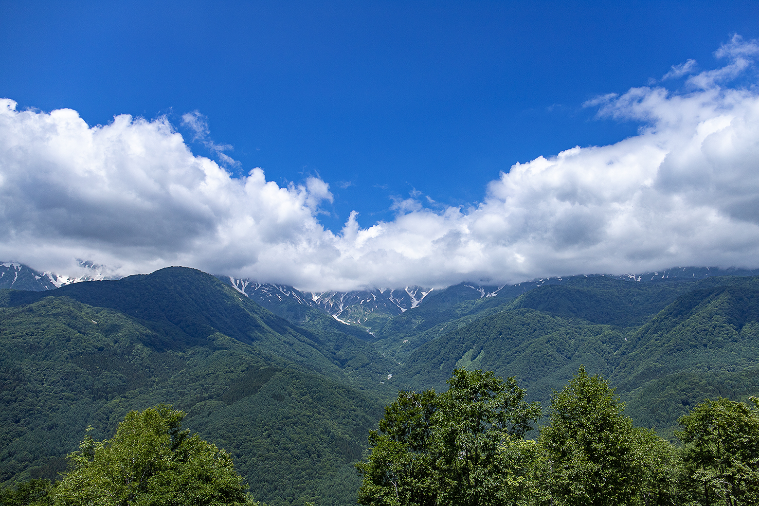 白馬三山は雲に隠れて見えず