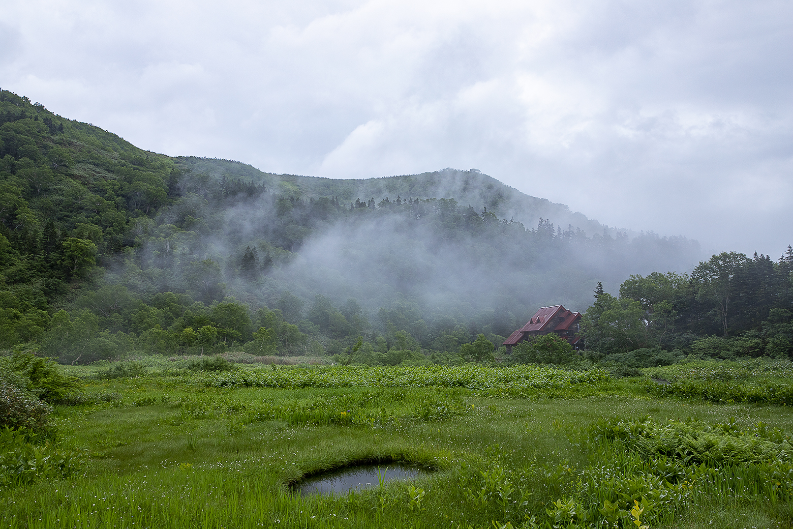 夏でも快適な栂池自然園