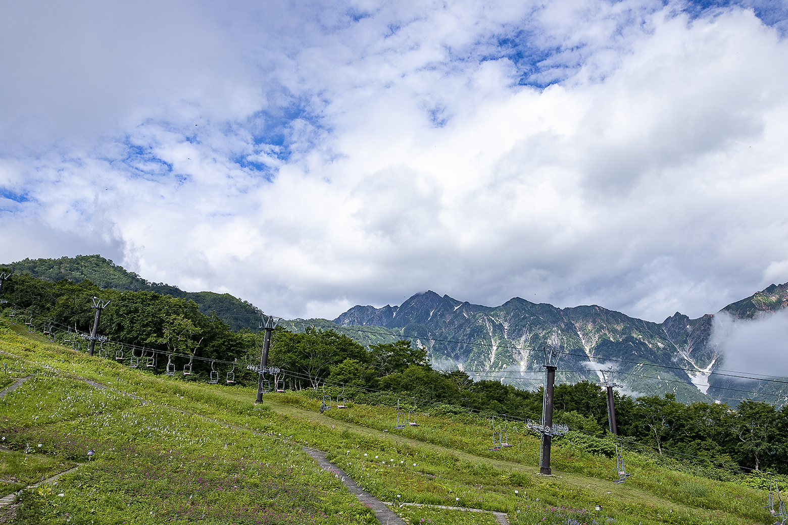冬の間は雪に埋もれている植物園