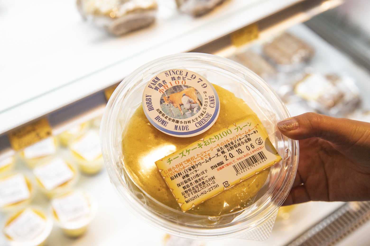 ホビー牧場のチーズケーキ