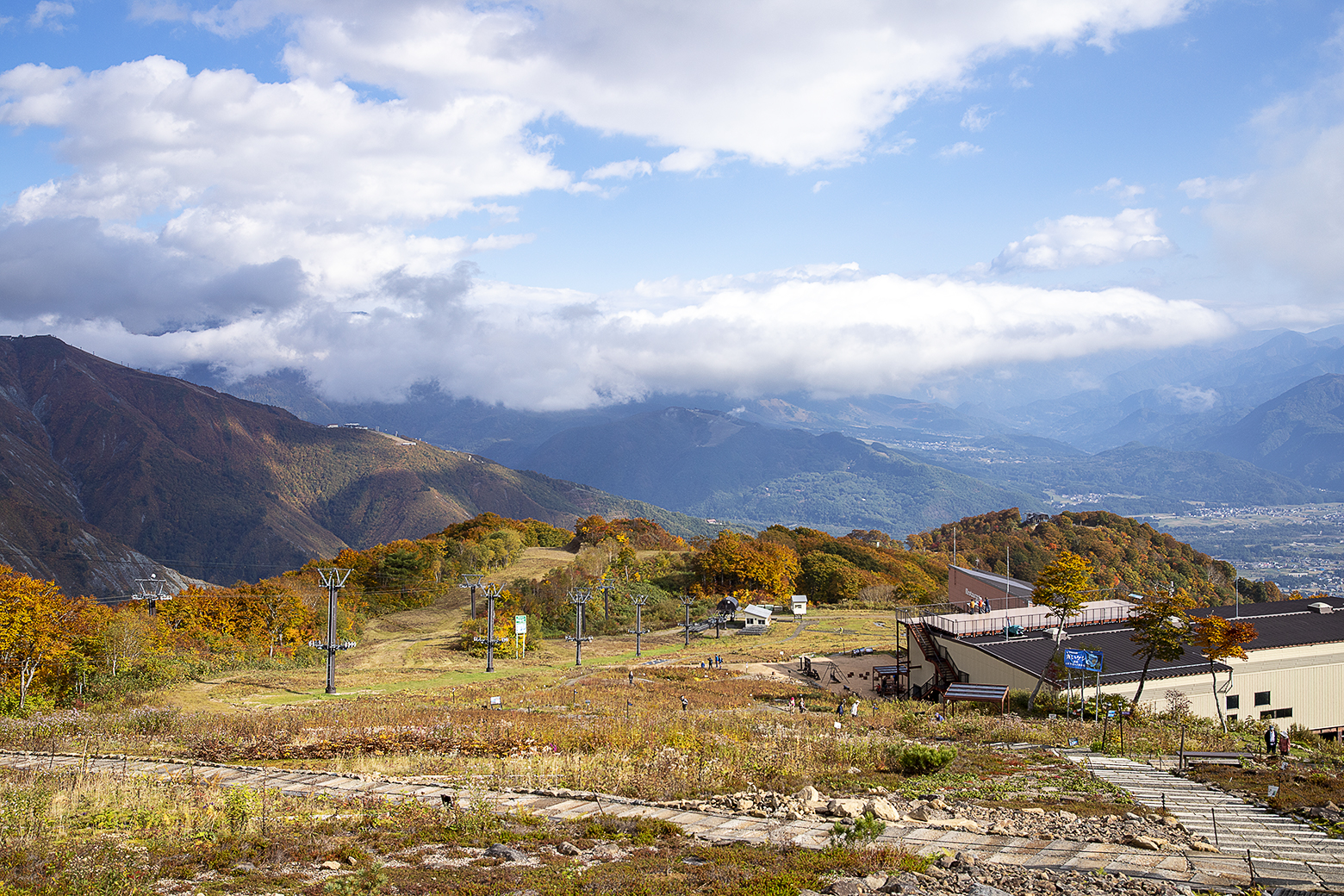 白馬五竜高山植物園