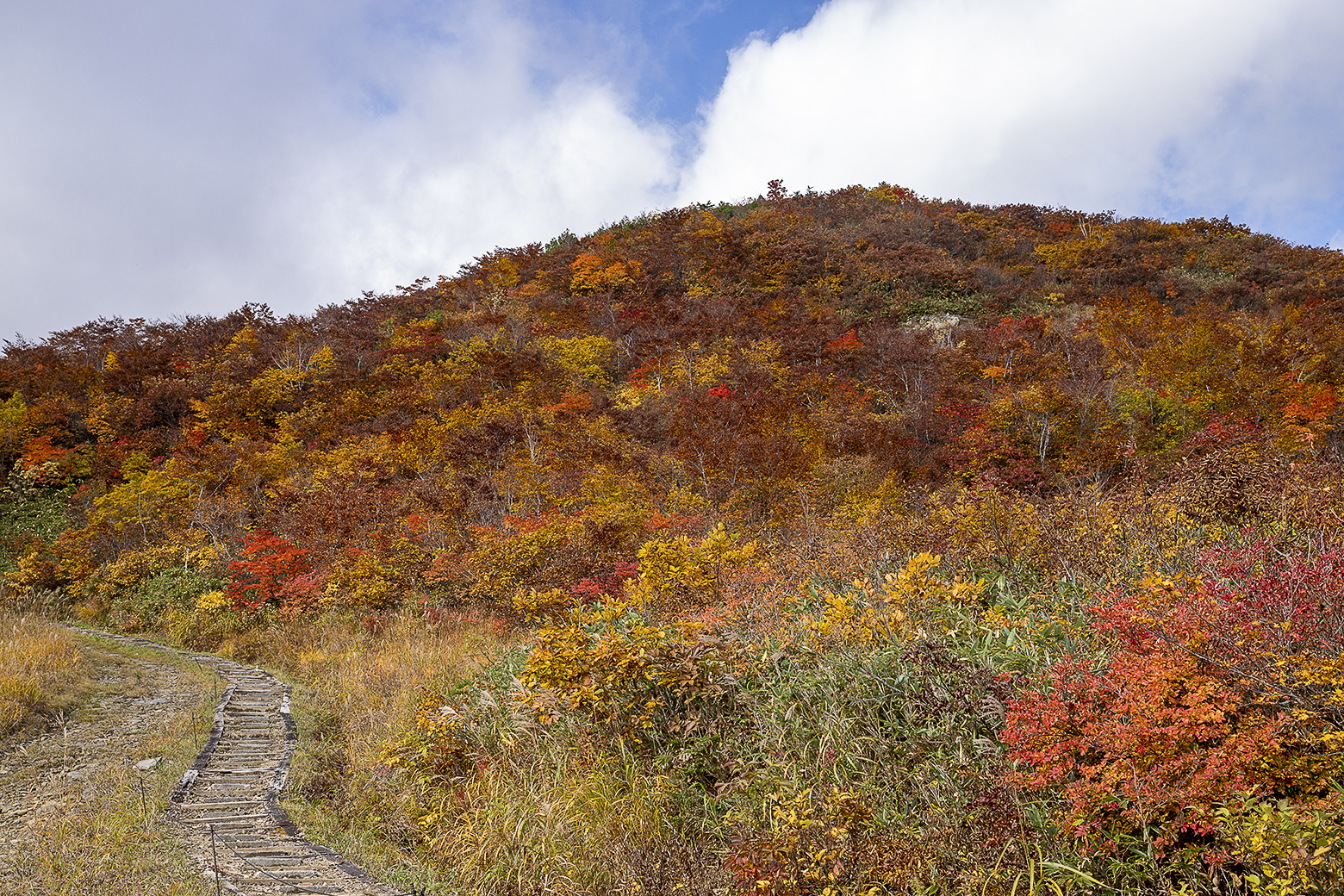 山肌を彩る紅葉