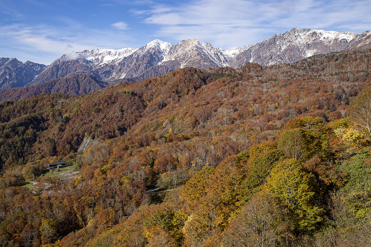 紅葉前線は標高1,500m付近に