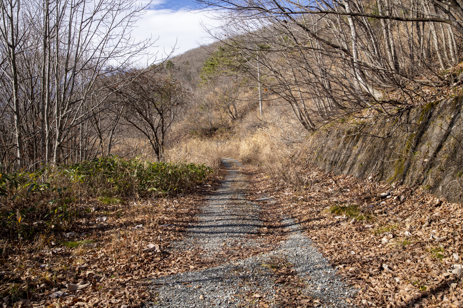 どんぐり村最上部にある登山口
