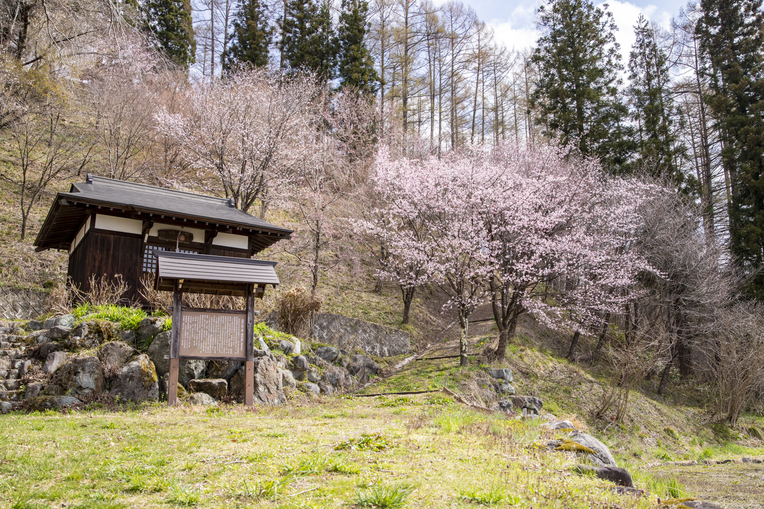 伝行山 2021年4月16日撮影