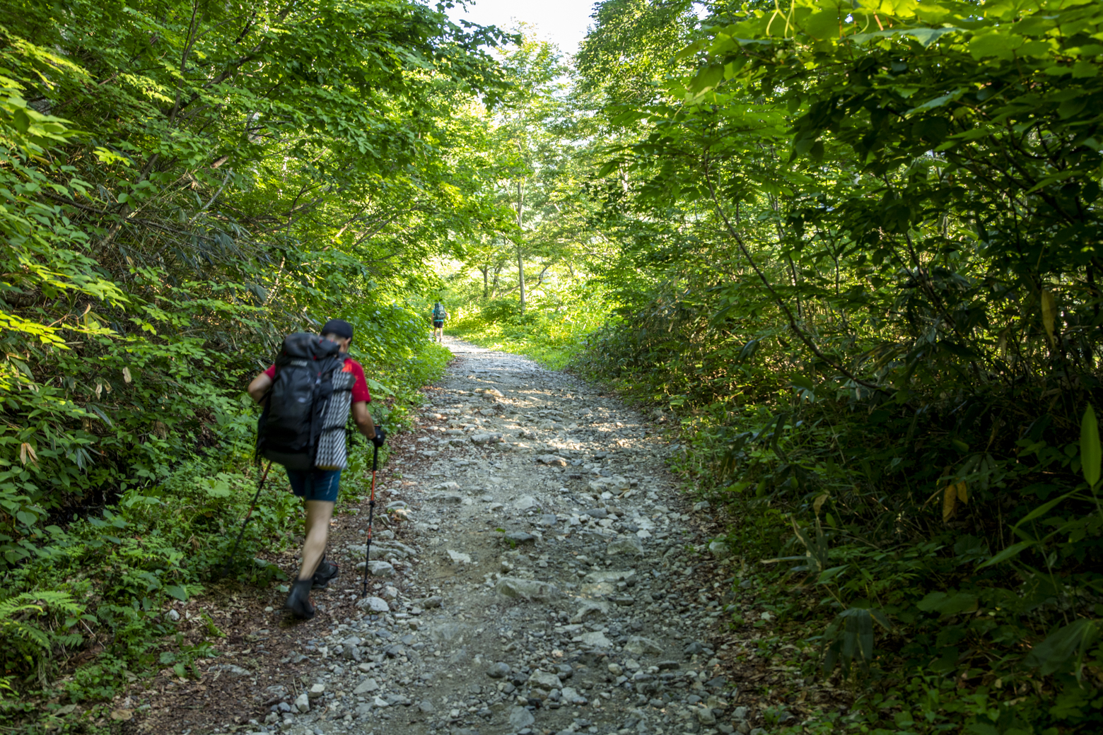 入山からしばらくは砂利道が続く