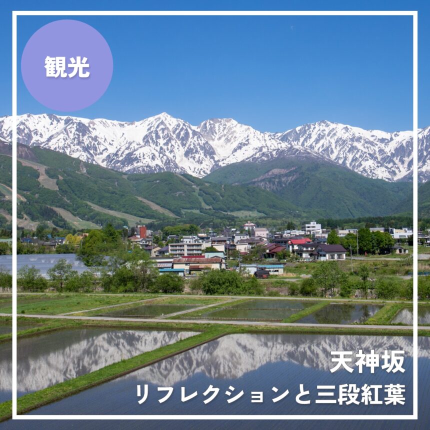 天神坂｜田んぼのリフレクションと三段紅葉、白馬が誇る2つの絶景