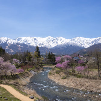 大出公園