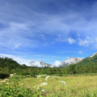 栂池自然園から見える白馬三山