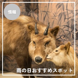 【2026年最新】白馬エリアの雨の日おすすめスポット7選｜温泉・体験・博物館まで