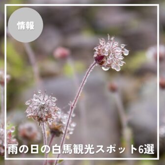 雨の日も楽しめる、白馬エリアの観光スポット6選