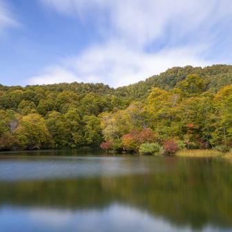 鎌池の周囲の色とりどり紅葉