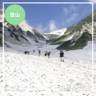 【白馬岳登山】白馬大雪渓を経て頂上へ！ルート解説と夏に咲く高山植物・注意点まとめ