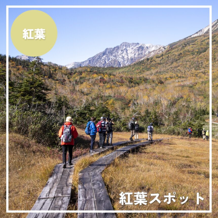 白馬エリアのオススメ紅葉スポット